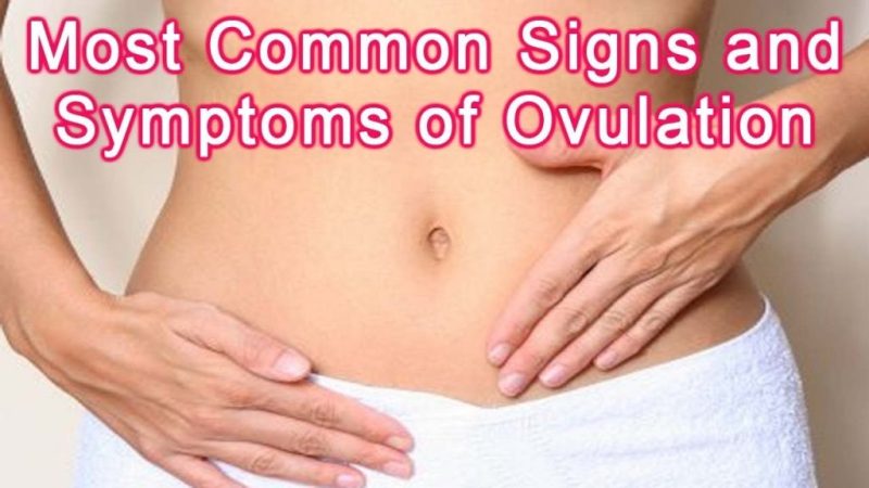 Ovulation Signs and Symptoms