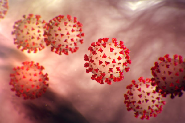 Coronavirus Disease: Cause, Prevention, And Prevention Coronavirus